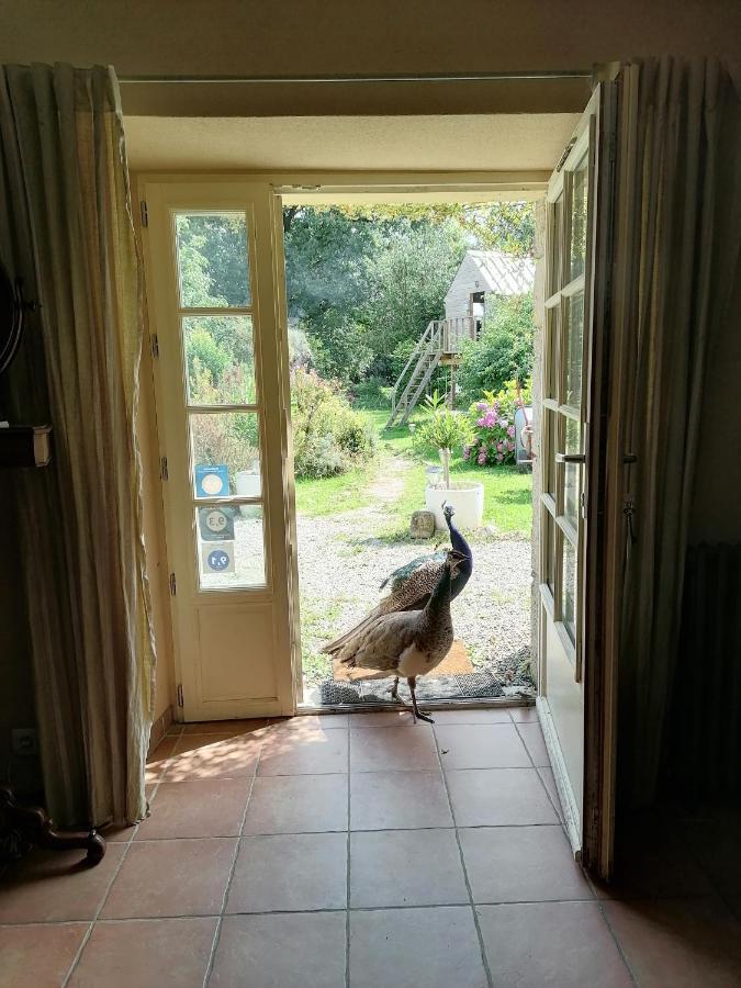 Frairie Du Divit Bed & Breakfast Pontivy Exterior photo